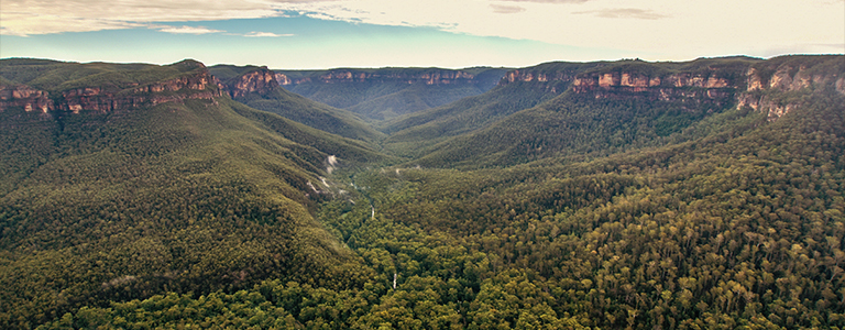 Blue Mountains Pub Tour