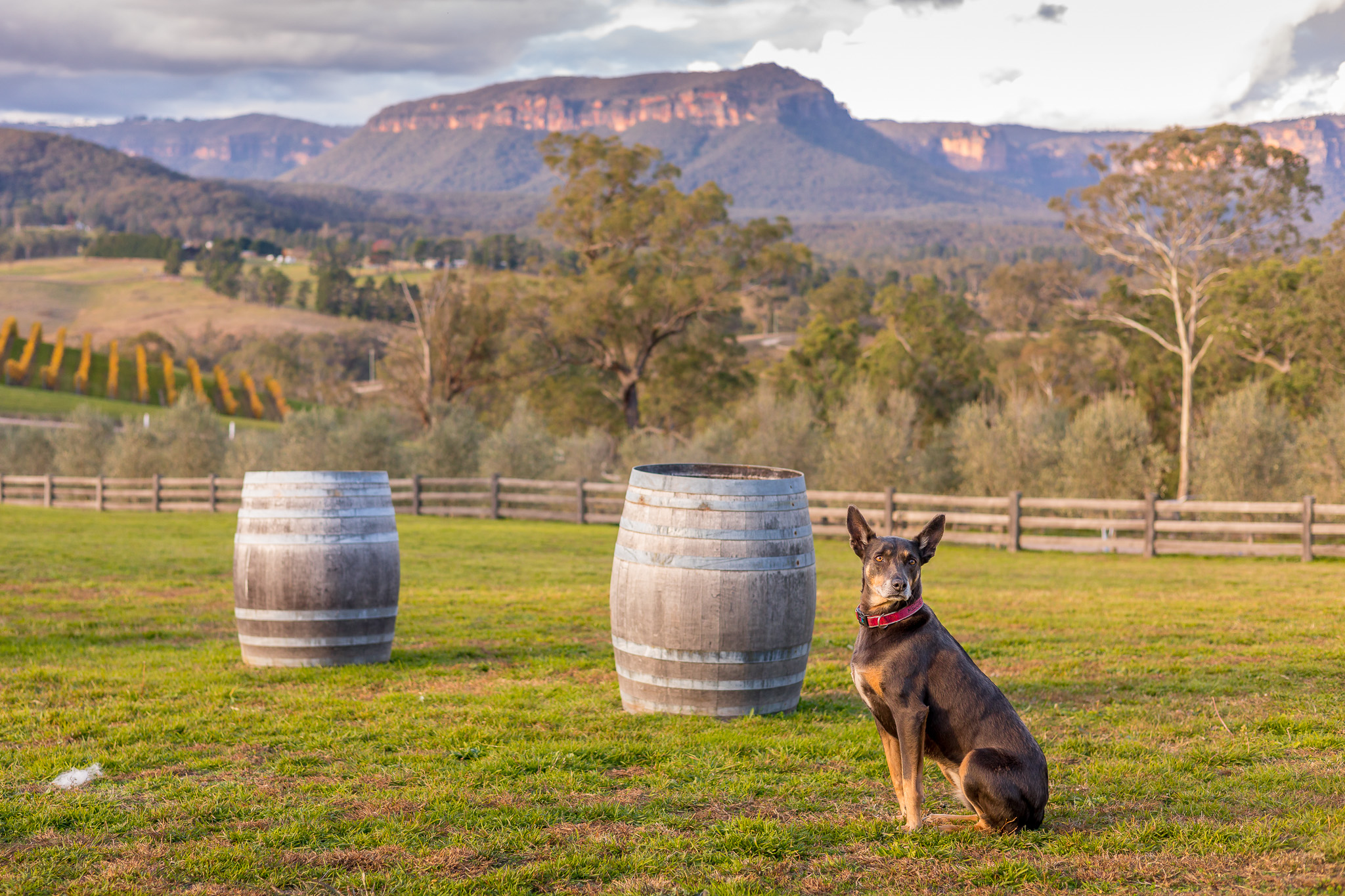 Hunter Valley Pub Tour