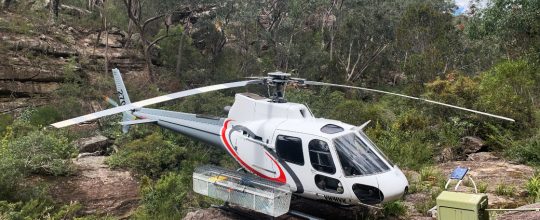 Where you have seen Sydney Helicopters