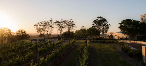 Hunter Valley 2